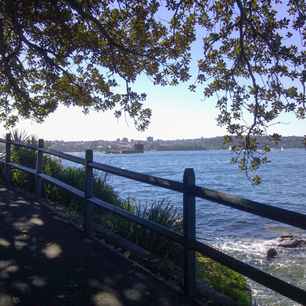 Banner image for post Wandeling