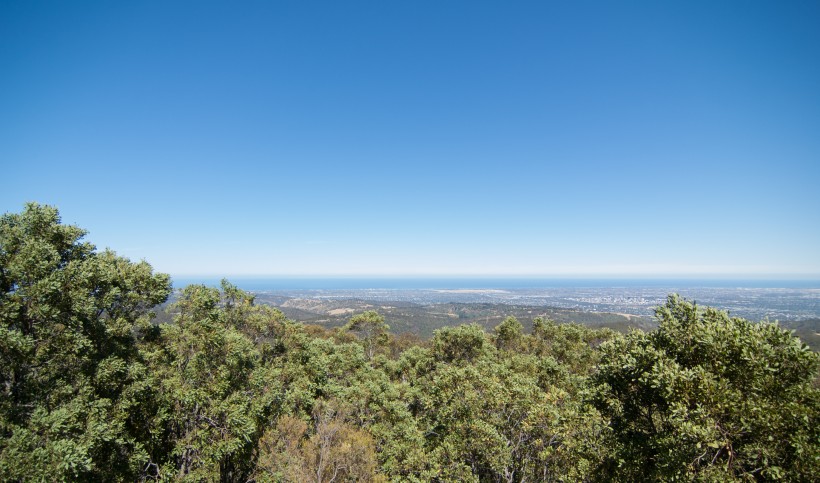 Banner image for post Adelaide I